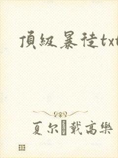 顶级暴徒txt封面