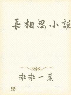 长相思小说原著