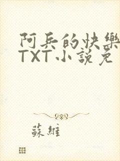 阿兵的快乐生活TXT小说免费阅读全章封面