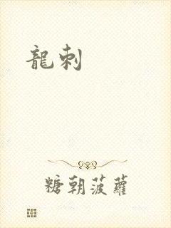 龙刺封面
