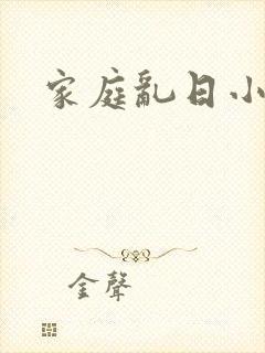 家庭乱日小说