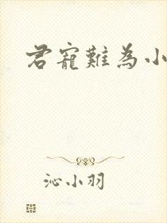 君宠难为小说