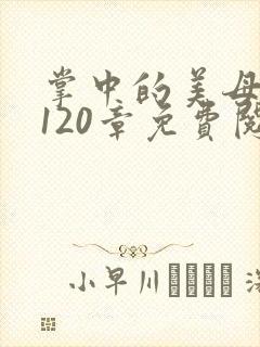 掌中的美母版主120章免费阅读封面