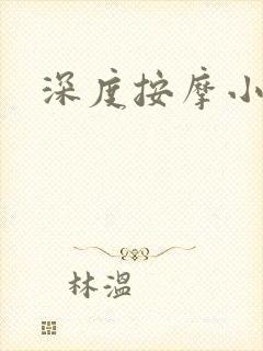 深度按摩小说