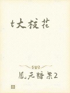 t大校花