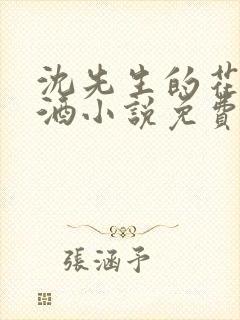 沈先生的花式调酒小说免费阅读封面
