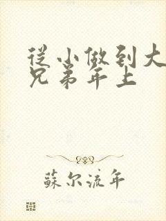从小做到大骨科兄弟年上封面