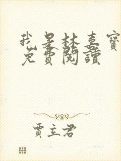 我是林喜宝小说免费阅读封面