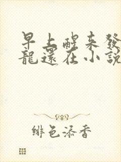 早上醒来发现巨龙还在小说