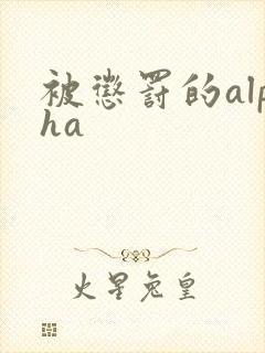 被惩罚的alpha