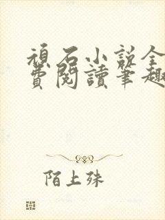 顽石小说全文免费阅读笔趣阁