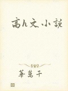 高h文小说