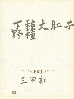 下种大肚子怀孕野种