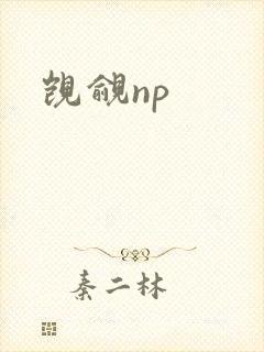 觊觎np