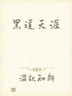 黑道天涯封面