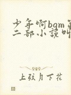 少年啊bgm第二部小说叫什么