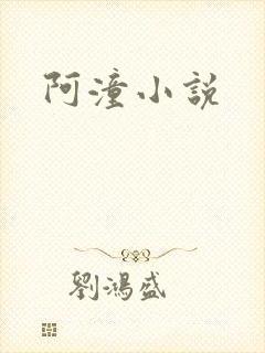 阿潼小说