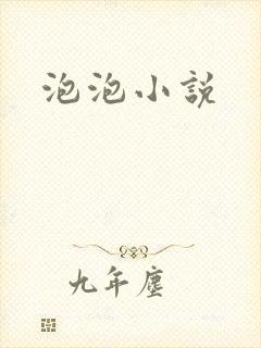 泡泡小说封面