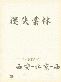 迷失丛林