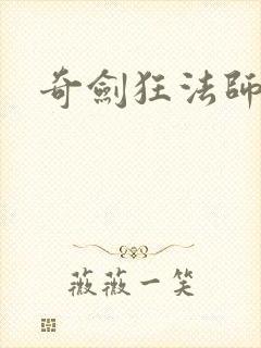 奇剑狂法师封面