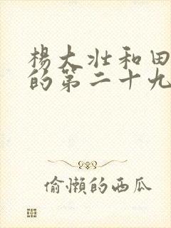 杨大壮和田桂花的第二十九