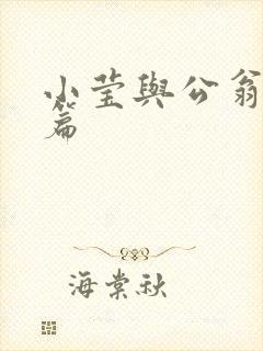小莹与公翁第八篇封面