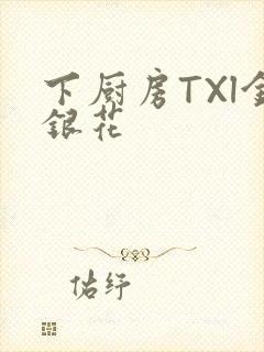 下厨房TXl金银花封面