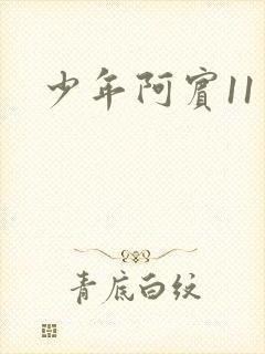 少年阿宾11