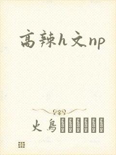 高辣h文np