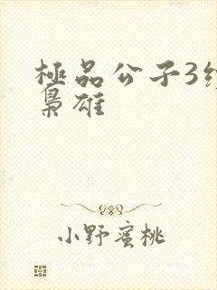 极品公子3续世枭雄