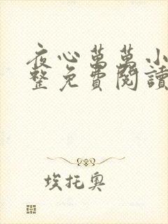夜心万万小说完整免费阅读全文