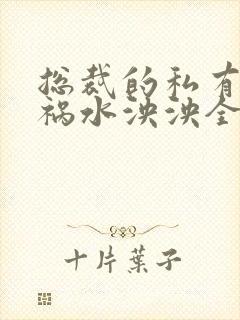 总裁的私有宝贝祸水泱泱全文阅读