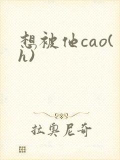 想被他cao(h)封面