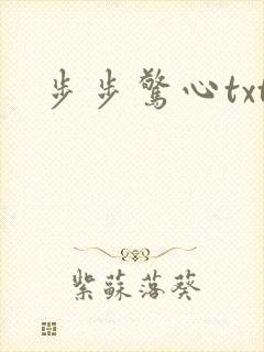步步惊心txt