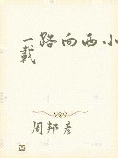 一路向西小说下载
