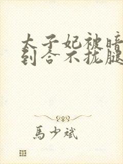 太子妃被暗卫C到合不拢腿