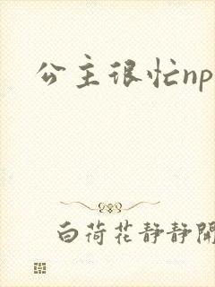 公主很忙npc