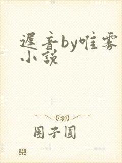 迟音by唯雾的小说封面