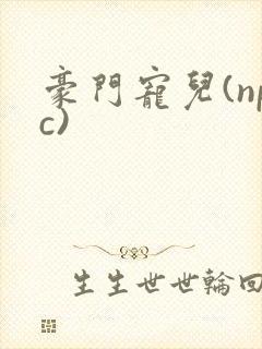 豪门宠儿(npc)