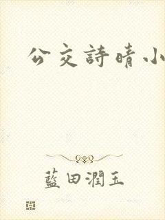 公交诗晴小说