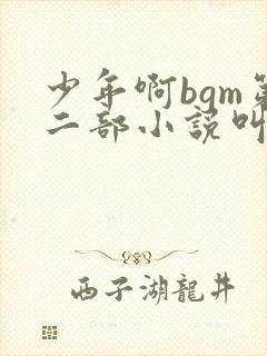 少年啊bgm第二部小说叫什么