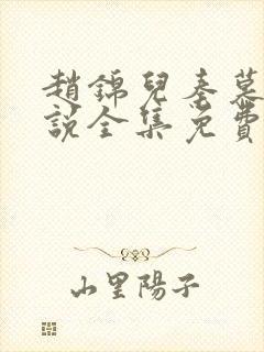 赵锦儿秦慕修小说全集免费封面