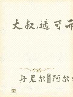 大叔,适可而止封面
