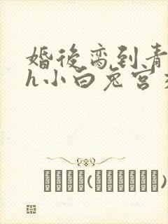 婚后脔到青梅哭h小白兔宫交h