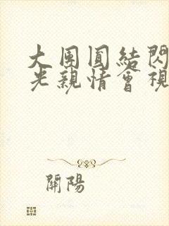 大团圆结闪闪发光亲情会视频