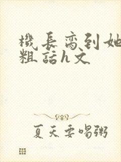 机长脔到她哭h粗话h文封面