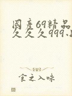 国产69精品久久久久999小说