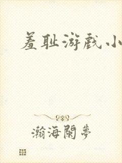 羞耻游戏小说