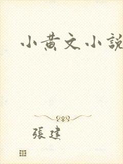 小黄文小说