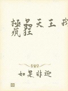 极品天王 我本疯狂封面